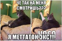 чё так на меня смотришь??? я меттатон экс!!!