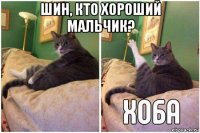 шин, кто хороший мальчик? 