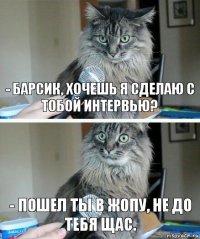 - Барсик, хочешь я сделаю с тобой интервью? - Пошел ты в жопу, не до тебя щас.