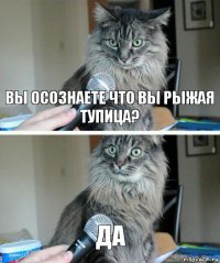 вы осознаете что вы рыжая тупица? да