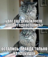 у вас ещё деньги после Нового года остались? остались. правда только на хлебушек