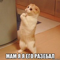  мам я я его разебал