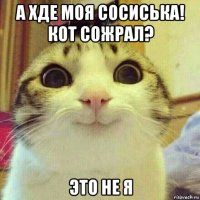 а хде моя сосиська! кот сожрал? это не я