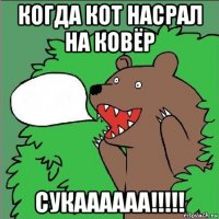 когда кот насрал на ковёр сукаааааа!!!!!