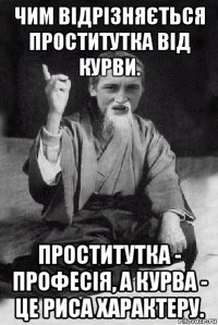 чим відрізняється проститутка від курви. проститутка - професія, а курва - це риса характеру.