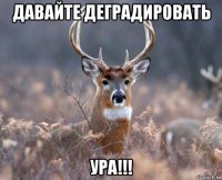 давайте деградировать ура!!!