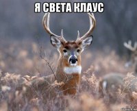 я света клаус 