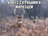 вову с сугробами и морозцем 