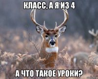 класс, а я из 4 а что такое уроки?