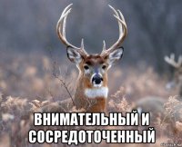  внимательный и сосредоточенный