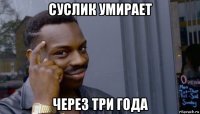 суслик умирает через три года