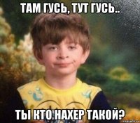 там гусь, тут гусь.. ты кто нахер такой?