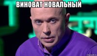 виноват новальный 