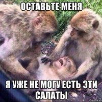 оставьте меня я уже не могу есть эти салаты