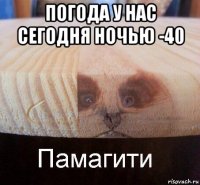 погода у нас сегодня ночью -40 