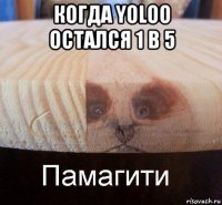 когда yoloo остался 1 в 5 