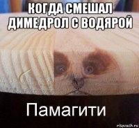 когда смешал димедрол с водярой 