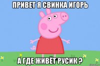 привет я свинка игорь а где живёт русик ?