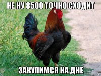 не ну 8500 точно сходит закупимся на дне