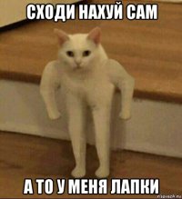 сходи нахуй сам а то у меня лапки