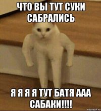 что вы тут суки сабрались я я я я тут батя ааа сабаки!!!!