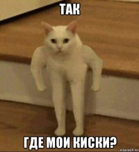 так где мои киски?