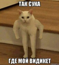 так сука где мой видикет