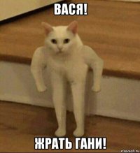 вася! жрать гани!