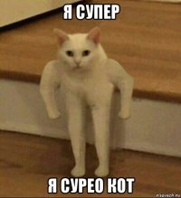 я супер я сурео кот