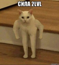 сила 2lvl 