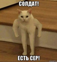 солдат! есть сер!