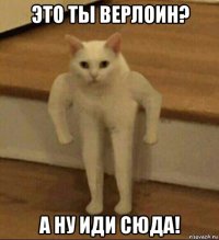 это ты верлоин? а ну иди сюда!