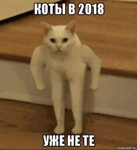 коты в 2018 уже не те