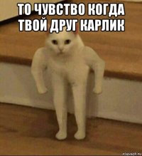 то чувство когда твой друг карлик 