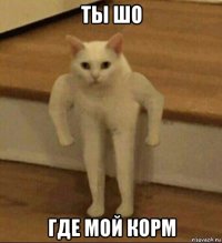 ты шо где мой корм