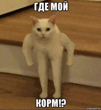 где мой корм!?