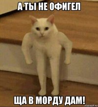 а ты не офигел ща в морду дам!