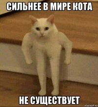 сильнее в мире кота не существует