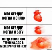 Мое сердце когда я сплю Мое сердце когда я бегу Когда узнал что термина ДДС в метеорологии нету