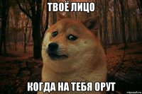 твоё лицо когда на тебя орут