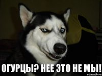 огурцы? нее это не мы!