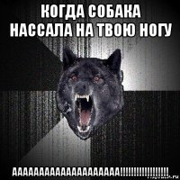 когда собака нассала на твою ногу аааааааааааааааааааа!!!!!!!!!!!!!!!!!!