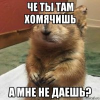 че ты там хомячишь а мне не даешь?