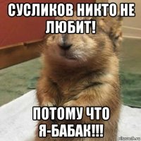 сусликов никто не любит! потому что я-бабак!!!