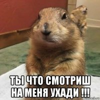  ты что смотриш на меня ухади !!!