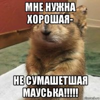 мне нужна хорошая- не сумашетшая мауська!!!!!