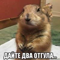  дайте два отгула...