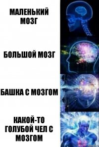 Маленький мозг Большой мозг башка с мозгом Какой-то голубой чел с мозгом