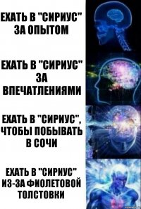 Ехать в "Сириус" за опытом Ехать в "Сириус" за впечатлениями Ехать в "Сириус", чтобы побывать в Сочи Ехать в "Сириус" из-за фиолетовой толстовки