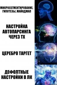 микросегментирование, гипотезы, майндмап Настройка автопарсинга через ТХ Церебро таргет дефолтные настройки в ЛК